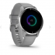 Venu® 2 Plus Silver Stainless Steel Bezel With Powder Grey Case And Silicone Band